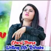 About Chori Tharo Wetting Me Rehabo Song